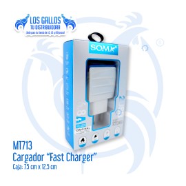 CARGADOR "FAST CHARGER"
